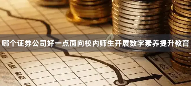 哪个证券公司好一点面向校内师生开展数字素养提升教育